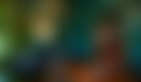 The Odd Fellow Bar photo 8