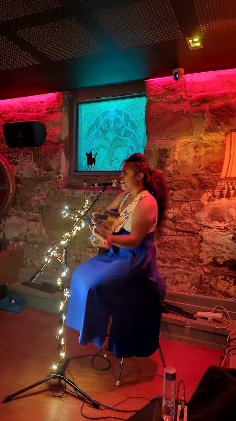 Pablos Cocktails and Dreams photo 9