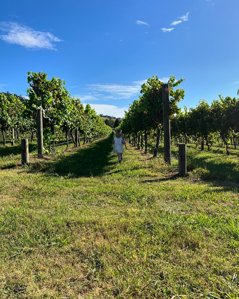 Theo's Social Club photo 4